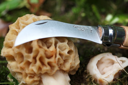 Opinel No. 08 Mushroom Knife – Beechwood Handle