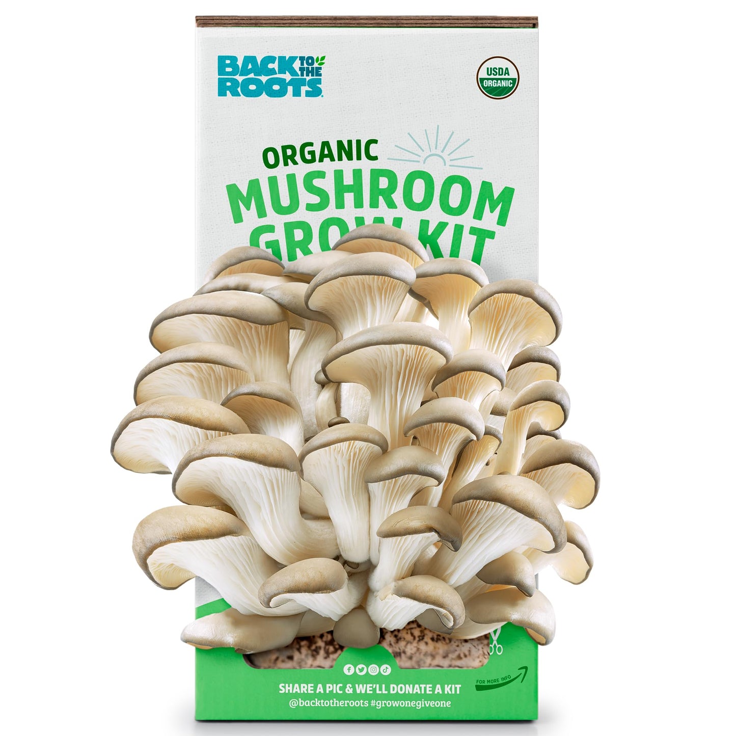 Back to the Roots Organic Oyster Mushroom Grow Kit