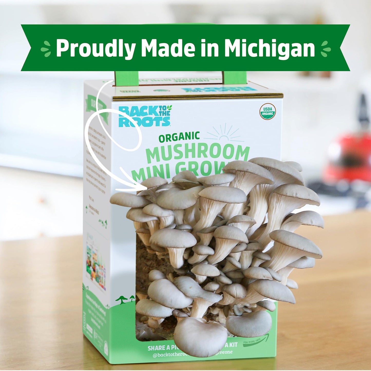 Back to the Roots Organic Oyster Mushroom Grow Kit