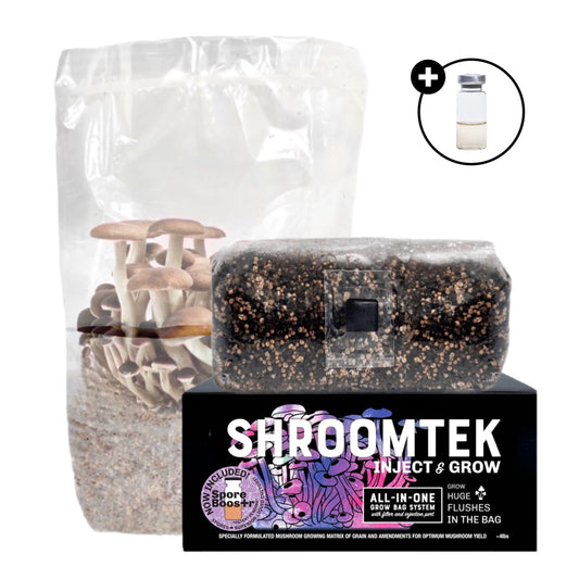 North Spore 'ShroomTek' All-in-One Mushroom Grow Bag with Spore Boostr Kit