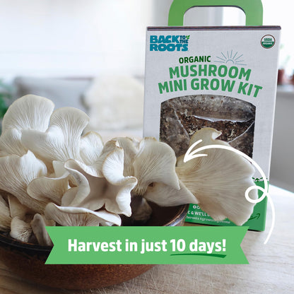 Back to the Roots Organic Oyster Mushroom Grow Kit