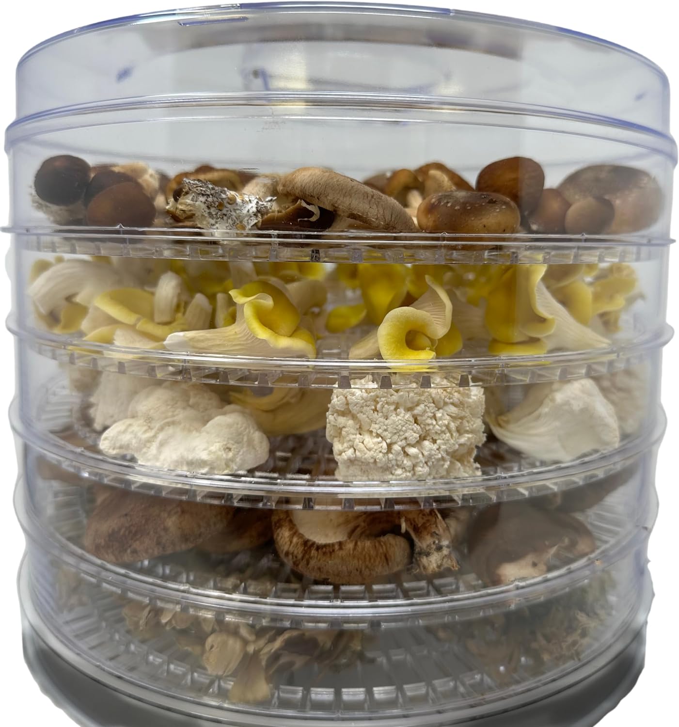 Myco Labs Mushroom Dehydrator