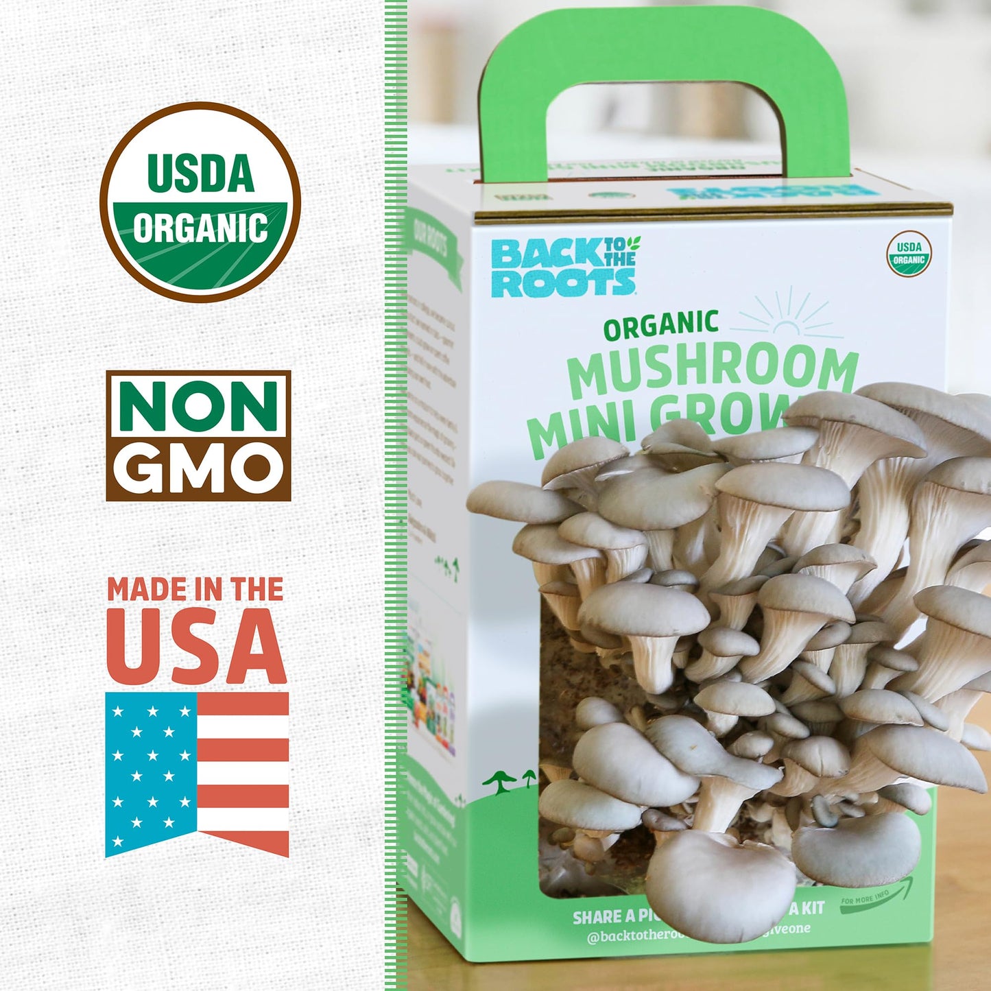 Back to the Roots Organic Oyster Mushroom Grow Kit