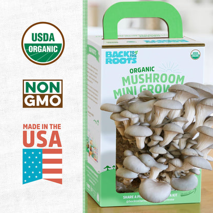 Back to the Roots Organic Oyster Mushroom Grow Kit