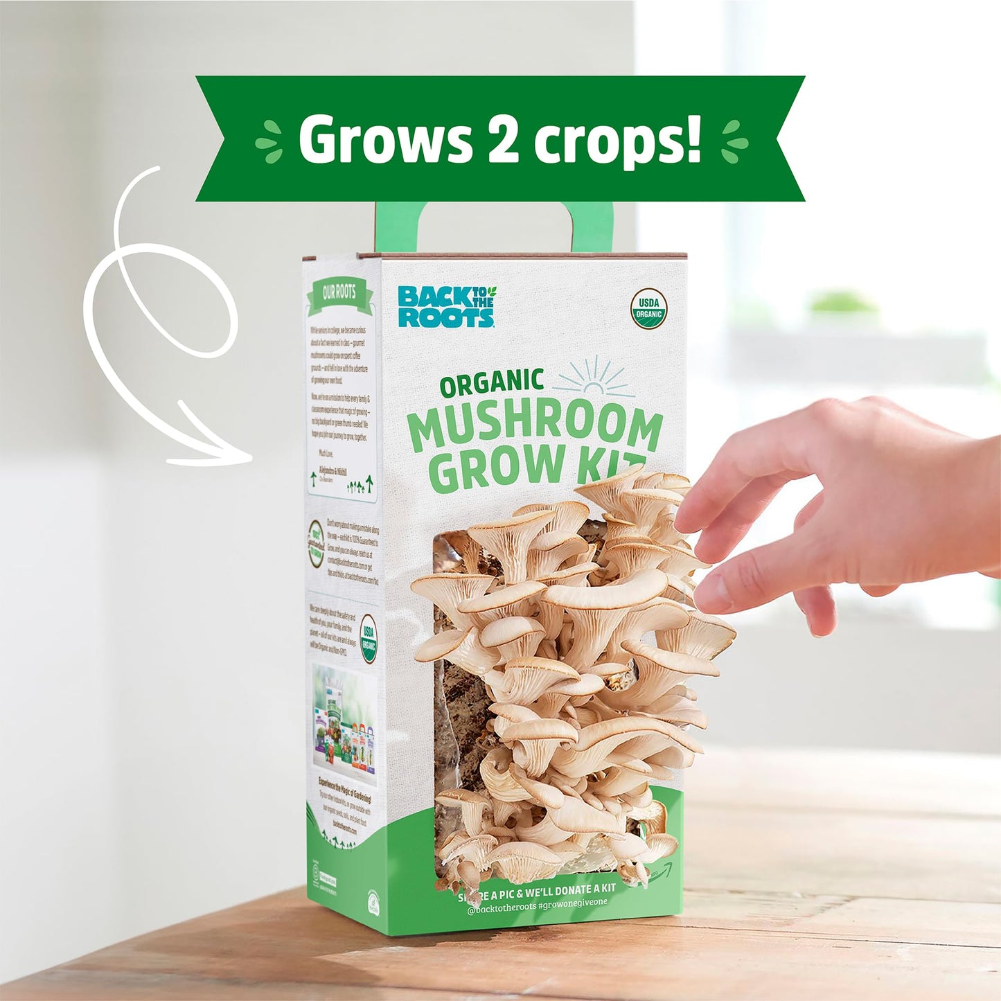 Back to the Roots Organic Oyster Mushroom Grow Kit