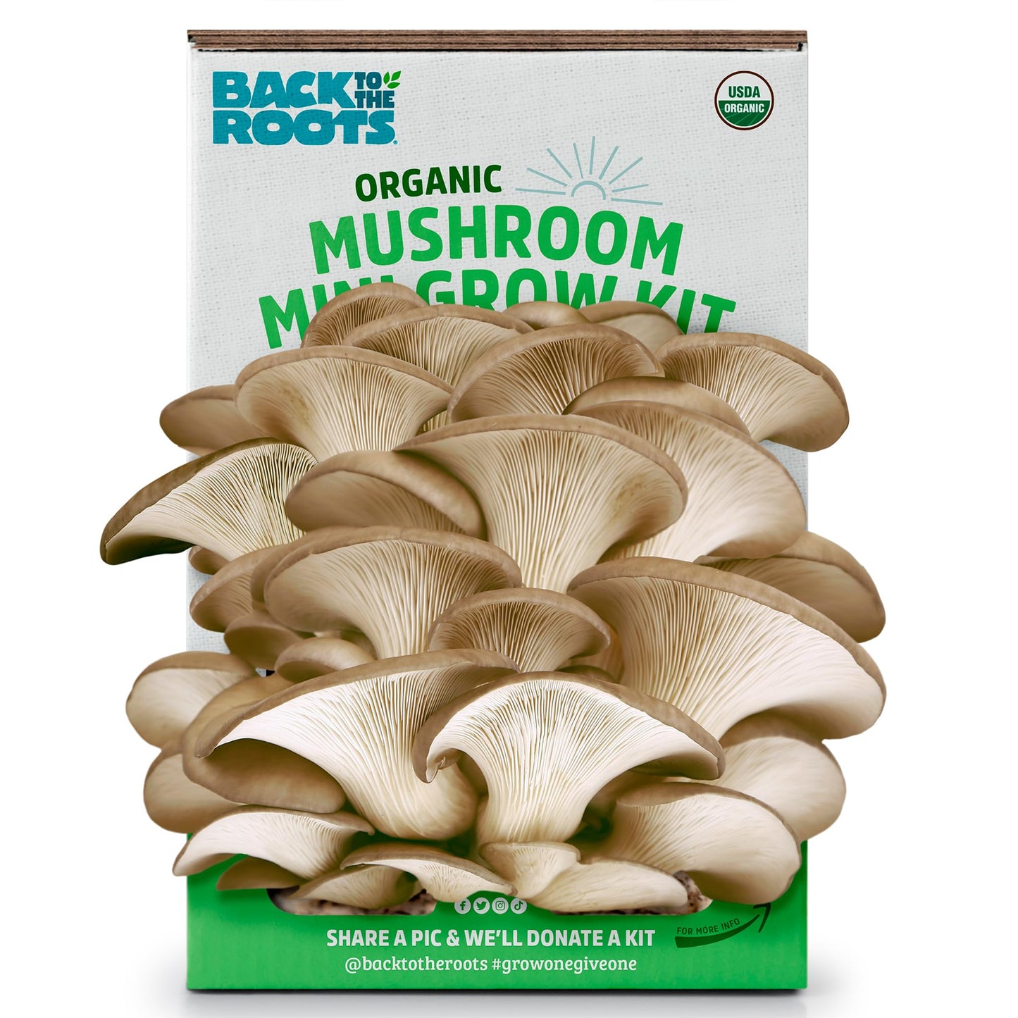 Back to the Roots Organic Oyster Mushroom Grow Kit