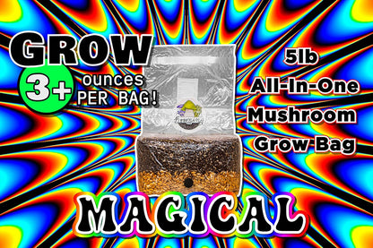 The Magical 5lb All-in-One Mushroom Grow Bag